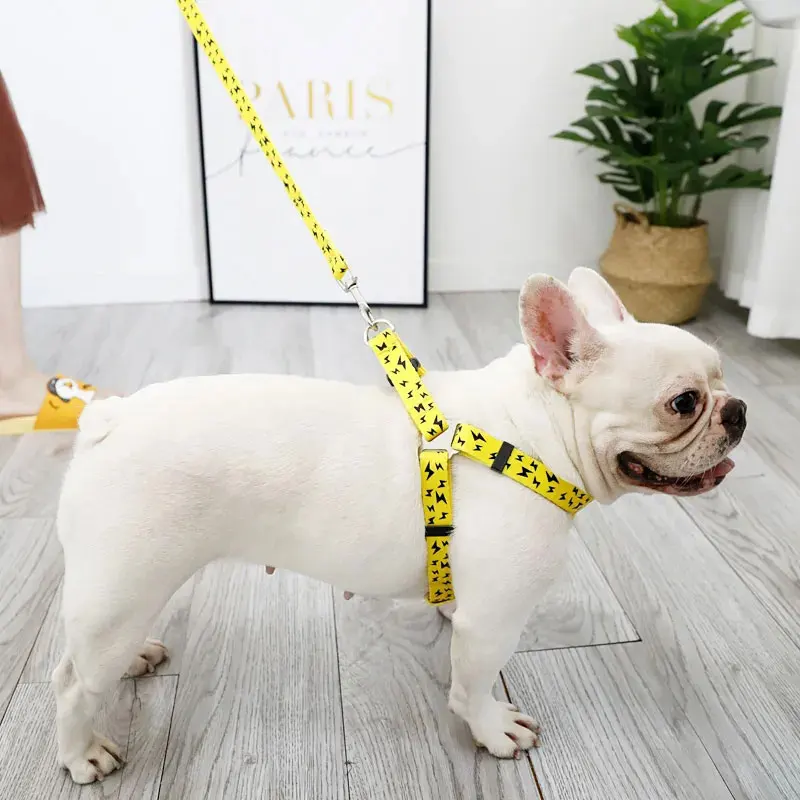 Регулируемый поводок для собак и котят
Регулируемый поводок для собак и котят