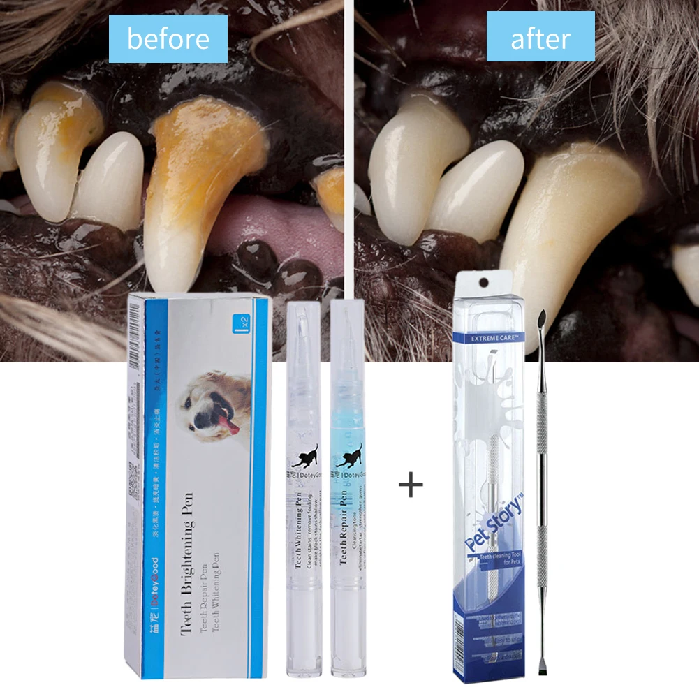 Portable Mouth Care Double Head Whitening Pen Dental Calculus Scraper Pets Teeth Cleaning Tool Stainless Steel Dogs Cats Home
Portable Mouth Care Double Head Whitening Pen Dental Calculus Scraper Pets Teeth Cleaning Tool Stainless Steel Dogs Cats Home