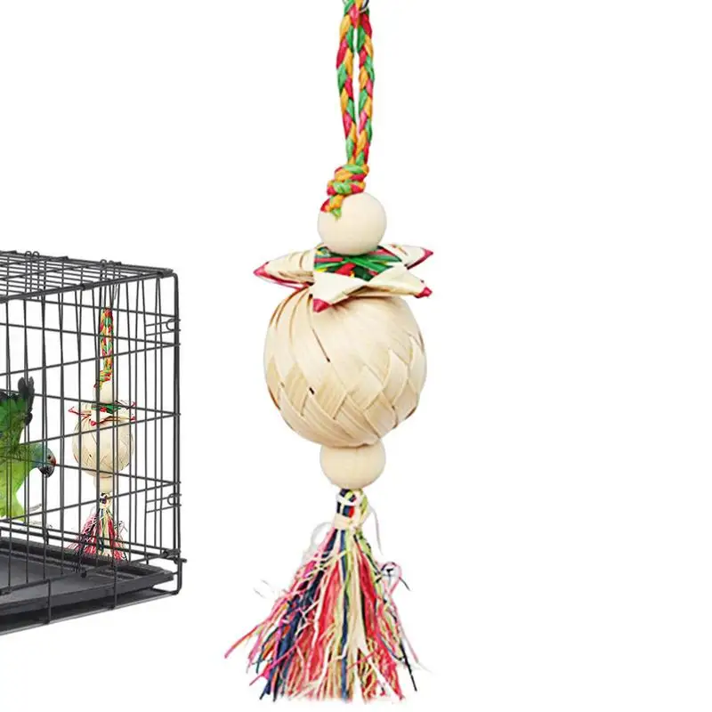

Bird Toys For Parrots Chewing Toy And Bird Perch Bird Toys For Parrots Parakeet Toy Chew Toys For Conure Parrotlet Budgies