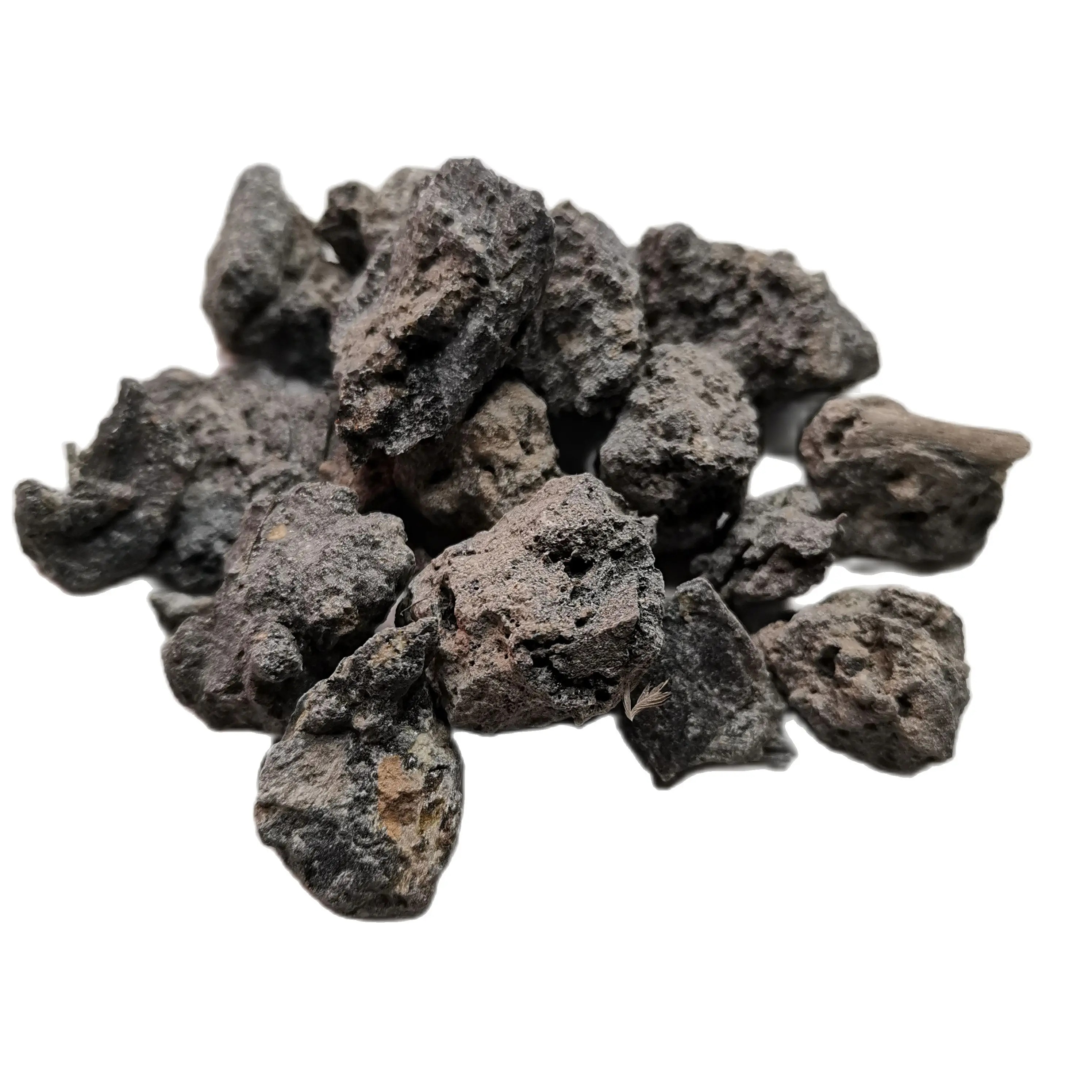 Old Years Stored Black American Sweet Gum Resin Liquidambar Styraciflua Gum for Incense Burning
Old Years Stored Black American Sweet Gum Resin Liquidambar Styraciflua Gum for Incense Burning