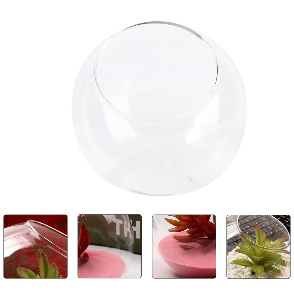 Terrarium Vaseplanter Bowl Air Globe Cut Slant Holder Succulent Flower Container Pot Bubble Clear Micro Slanted Landscape Bottle 
Terrarium Vaseplanter Bowl Air Globe Cut Slant Holder Succulent Flower Container Pot Bubble Clear Micro Slanted Landscape Bottle