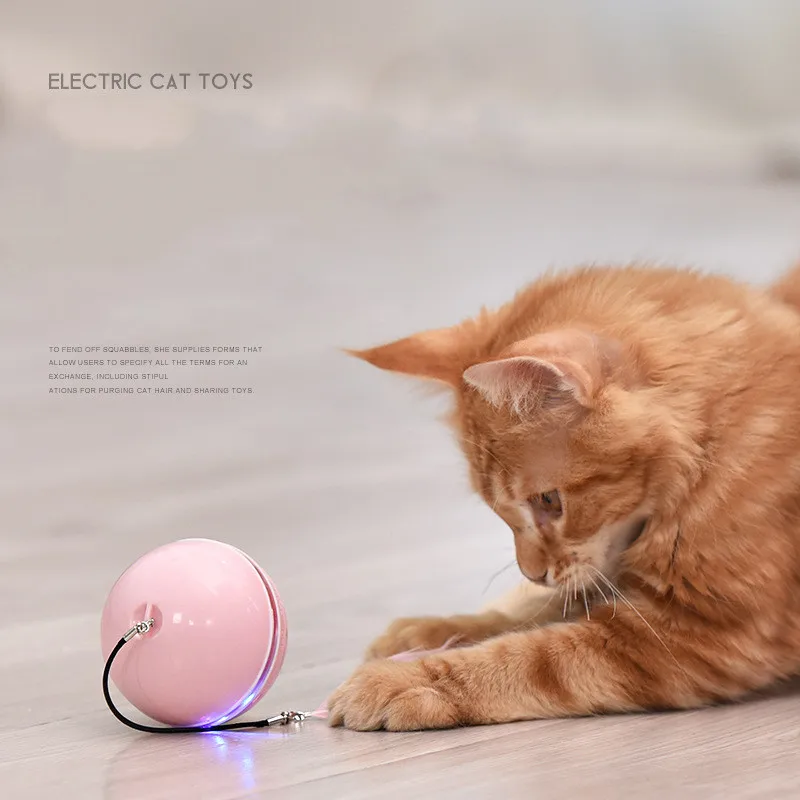 New Electric Cat Toy LED Laser Teasing Cat Ball Cat Self-hi Teasing Cat Stick Feather USB Charging Teasing Cat Toy
New Electric Cat Toy LED Laser Teasing Cat Ball Cat Self-hi Teasing Cat Stick Feather USB Charging Teasing Cat Toy