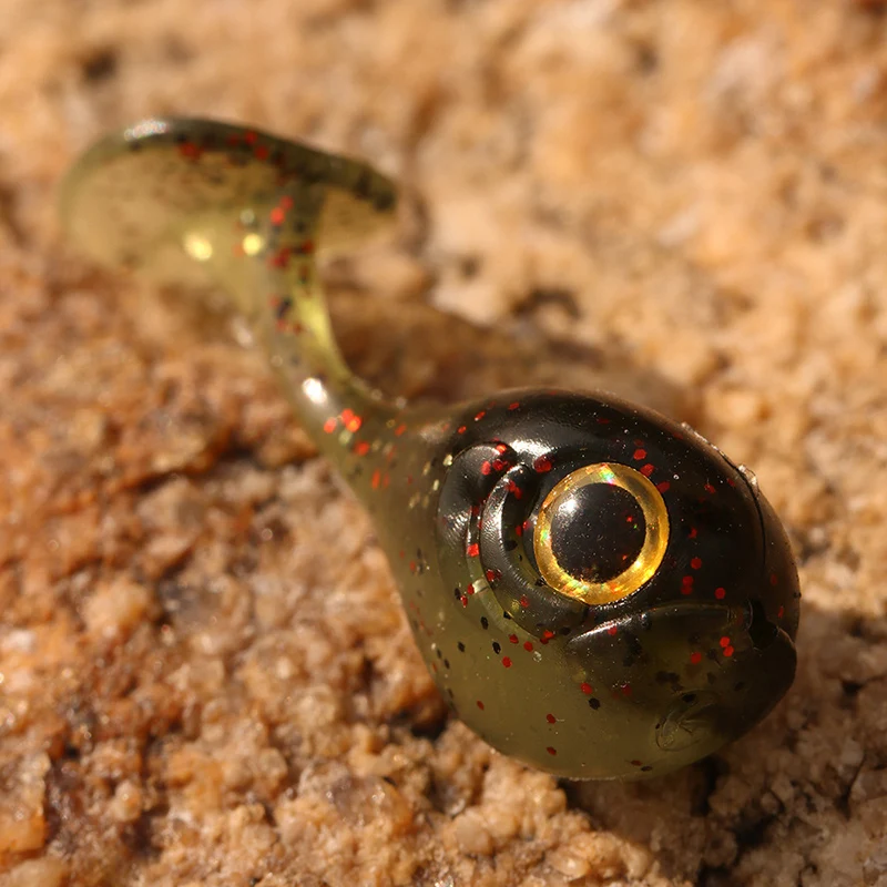 6 PCS Fake Fish Fishing Lure with Hole & Simulation Eyes Little Whale Shaped Baits Fishing Supplies for Fisherman EDF 
6 PCS Fake Fish Fishing Lure with Hole & Simulation Eyes Little Whale Shaped Baits Fishing Supplies for Fisherman EDF