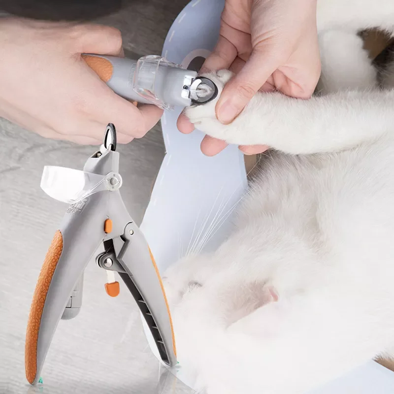 2022 Toe Claw Clippers Scissor LED Light Nail Trimmer Grooming Tools Animals Pet Supplies
2022 Toe Claw Clippers Scissor LED Light Nail Trimmer Grooming Tools Animals Pet Supplies