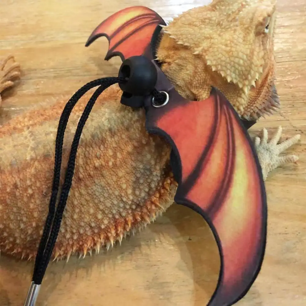 Cozy Convenient Anti-Bite Easy to Use Small Animal Leash Small Animal Supplies Reptile Leash Reptile Leash
Cozy Convenient Anti-Bite Easy to Use Small Animal Leash Small Animal Supplies Reptile Leash Reptile Leash