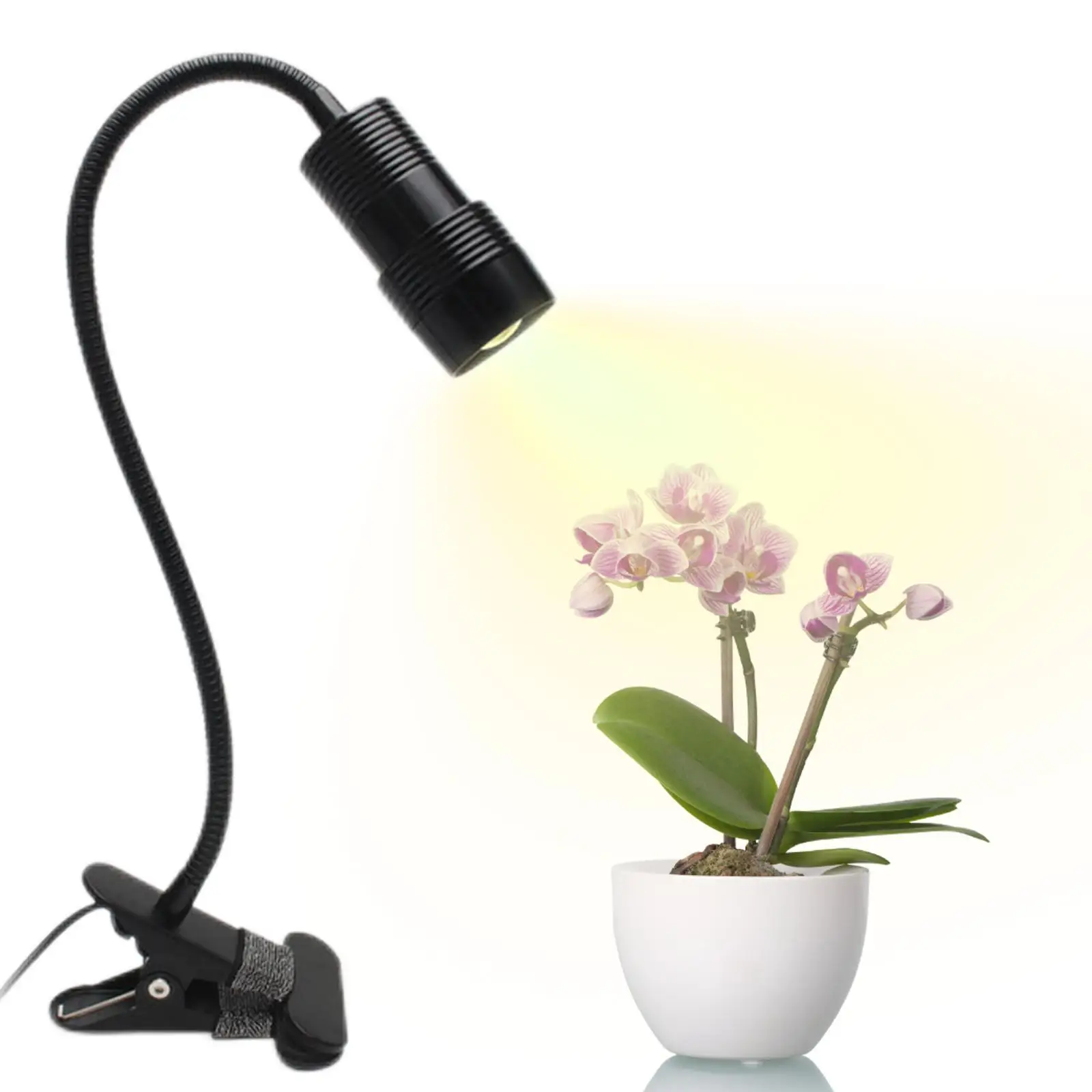 Grow Lights Adjustable Gooseneck with Clip Sunlike 360°Adjustable LED Growing Lamp for Indoor Plants Greenhouse Vegetables
Grow Lights Adjustable Gooseneck with Clip Sunlike 360°Adjustable LED Growing Lamp for Indoor Plants Greenhouse Vegetables