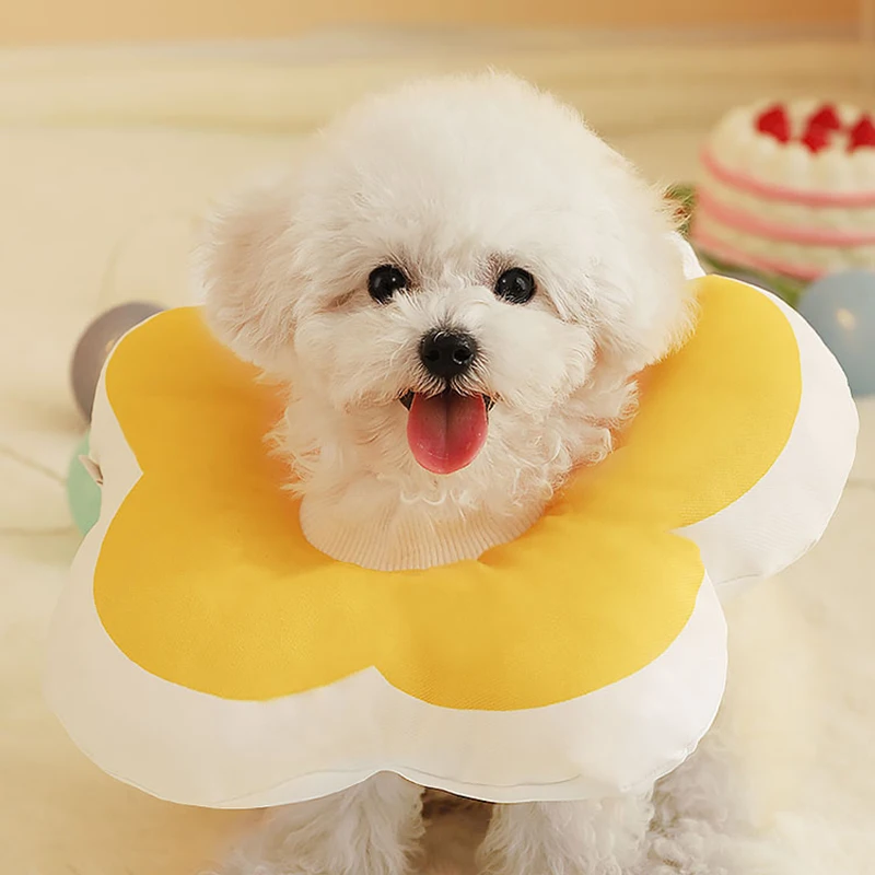 HOOPET Cat Collar Circle of Elizabeth for Puppy Cats Adjustable Pet Protect Anti-Licking Neck Collar 6-Colors Flower Shape
HOOPET Cat Collar Circle of Elizabeth for Puppy Cats Adjustable Pet Protect Anti-Licking Neck Collar 6-Colors Flower Shape