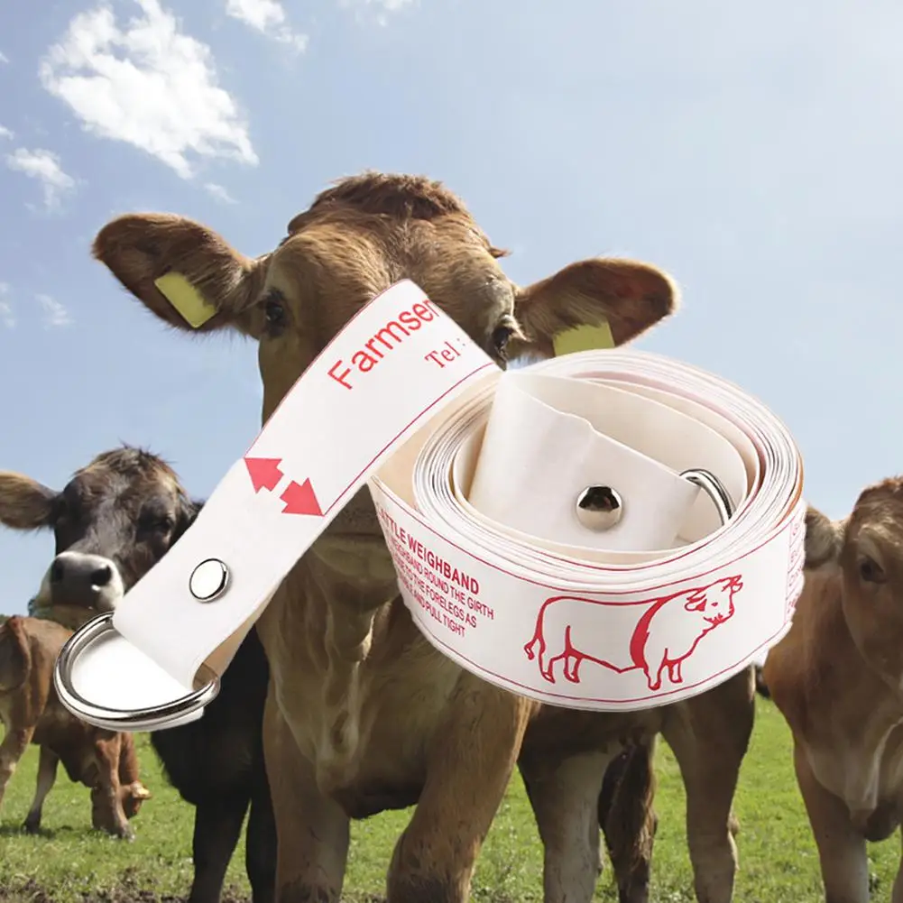 Cattle Measuring Ruler Tear-proof Waterproof Light Portable Accurate Measurement Tape Measure Tool for Cow Weight Height
Cattle Measuring Ruler Tear-proof Waterproof Light Portable Accurate Measurement Tape Measure Tool for Cow Weight Height