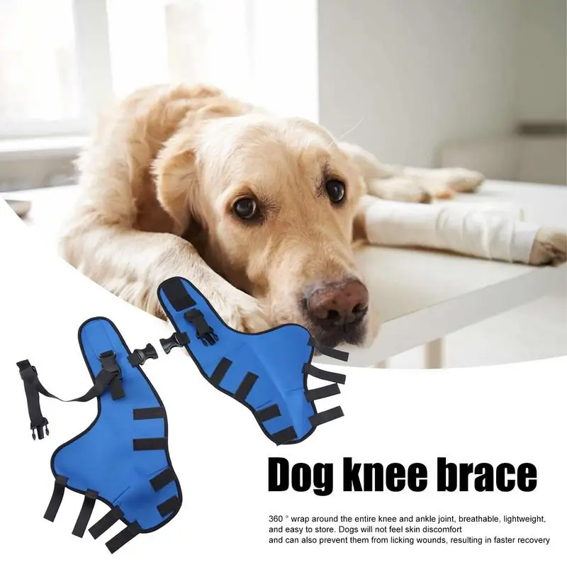 Dog Knee Brace Pet Knee Pad Adjustable Dog Hip Support Brace Pet Joint Wrap Breathable Dog Legs Protector Holder Pet Supplies
Dog Knee Brace Pet Knee Pad Adjustable Dog Hip Support Brace Pet Joint Wrap Breathable Dog Legs Protector Holder Pet Supplies