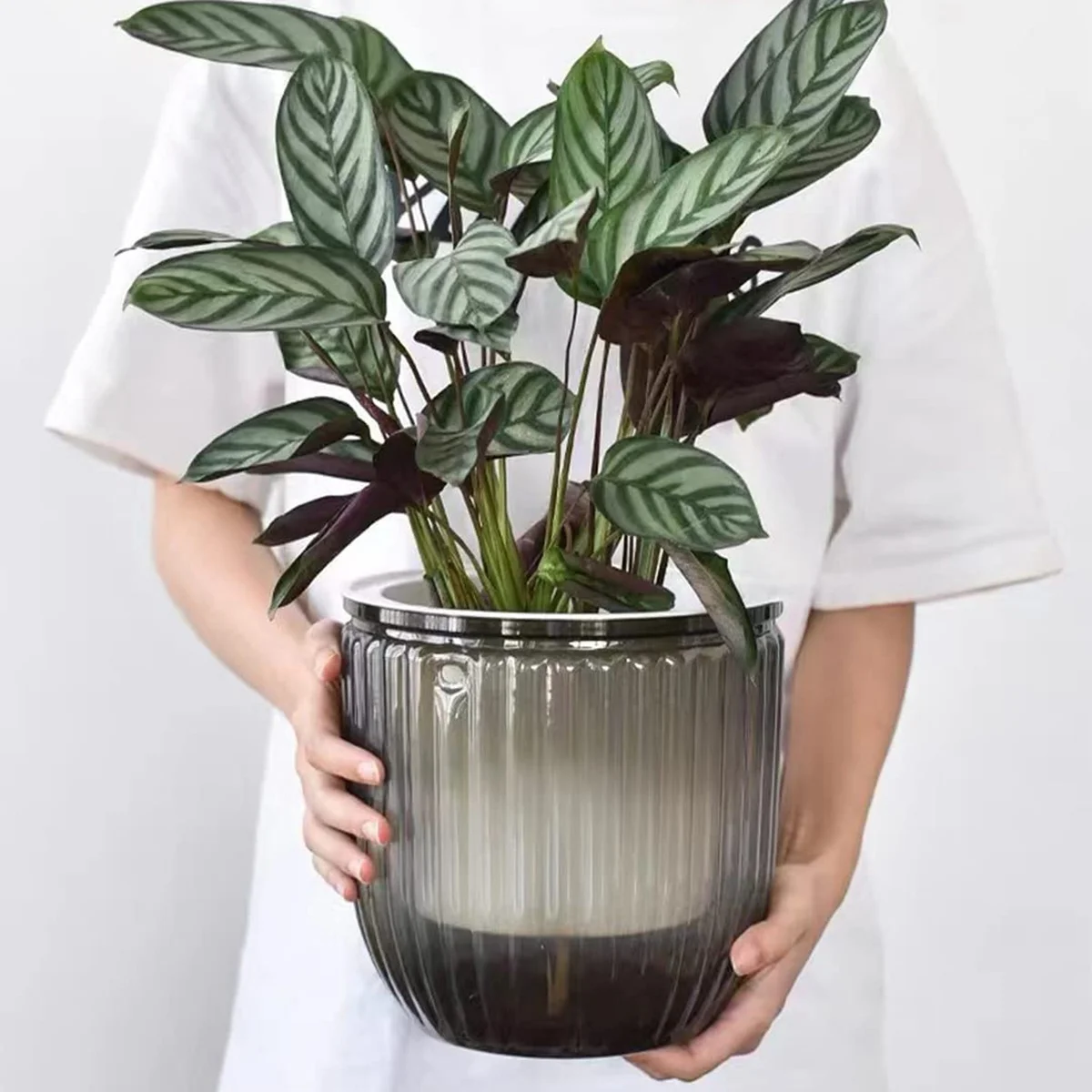 2 Pack Self Watering Planters Indoor Hanging Flower Pots, 6.5 Inch Outdoor Hanging Plant Pot Basket (Emerald + Gray)
2 Pack Self Watering Planters Indoor Hanging Flower Pots, 6.5 Inch Outdoor Hanging Plant Pot Basket (Emerald + Gray)