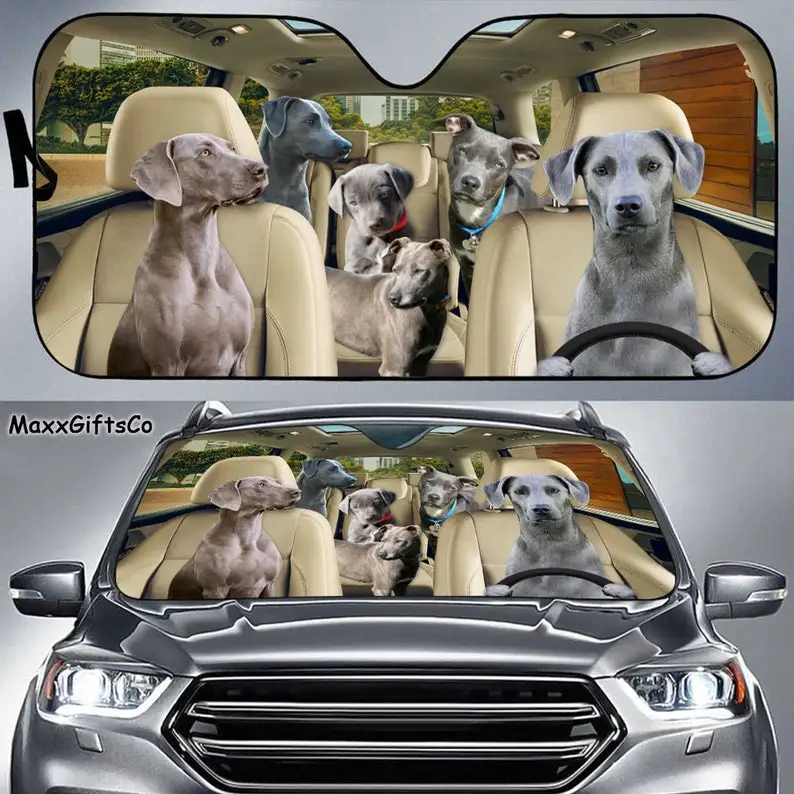 Blue Lacy Car Sun Shade, Dogs Windshield, Family Sunshade, Dog Car Accessories, Car Decoration, Gift For Dad, Mom
Blue Lacy Car Sun Shade, Dogs Windshield, Family Sunshade, Dog Car Accessories, Car Decoration, Gift For Dad, Mom