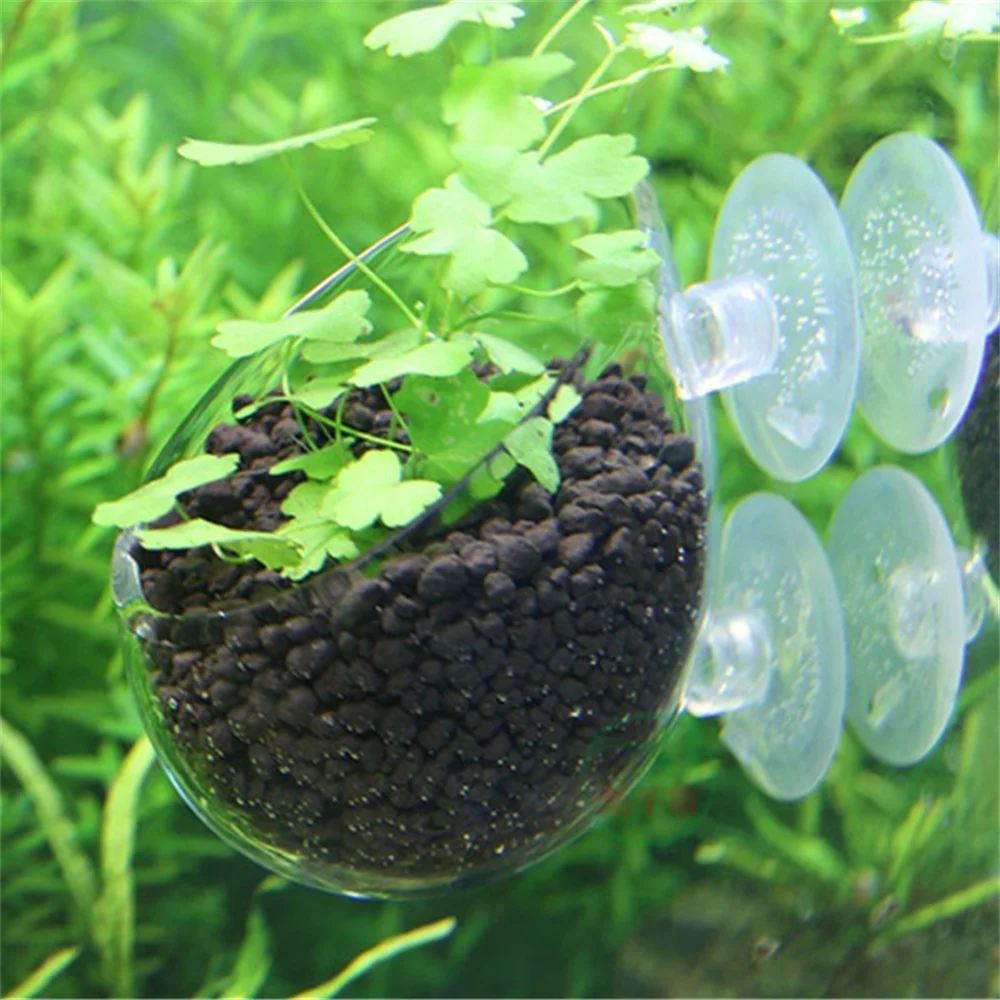 

Mini Glass Pot Cylinder Cup Aquarium Aquatic Cultivation Cup Fish Tank Plants Seeds Planting Aquarium Hanging Plant Decoration