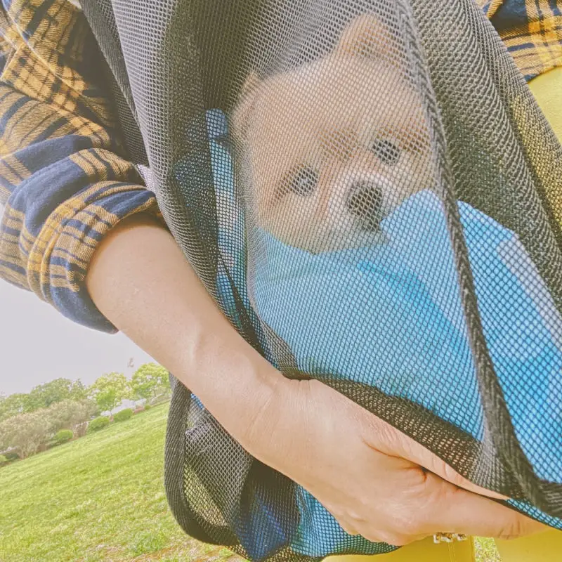 2023 New ins Wind Transparent Mesh Shopping Bag Fashion Light and Versatile Large-Capacity Portable Shopping Bag Beach Mesh Bag
2023 New ins Wind Transparent Mesh Shopping Bag Fashion Light and Versatile Large-Capacity Portable Shopping Bag Beach Mesh Bag