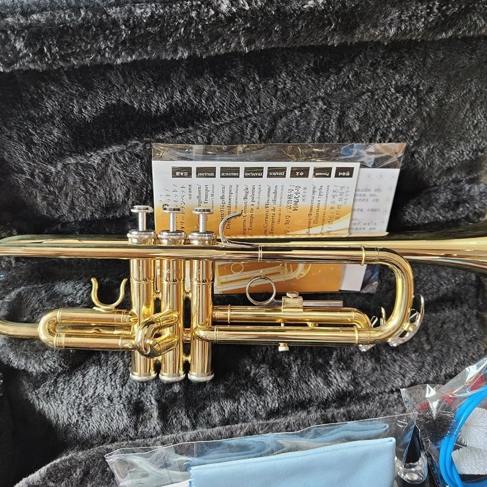 Высококачественная труба 200 ДТ, латунная позолоченная японская ручная работа, профессиональная труба B-flat, можно настроить
Высококачественная труба 200 ДТ, латунная позолоченная японская ручная работа, профессиональная труба B-flat, можно настроить