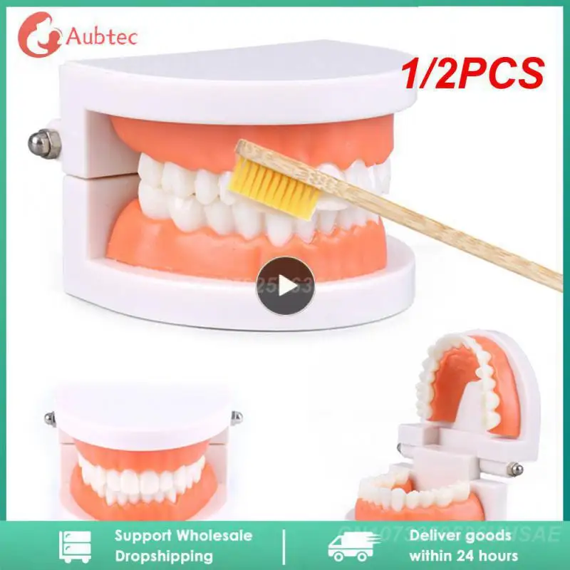 1/2PCS Montessori Educational Toys for Children Early Learning Kids Intelligence Brushing Tooth Teaching Aids Simulated
1/2PCS Montessori Educational Toys for Children Early Learning Kids Intelligence Brushing Tooth Teaching Aids Simulated