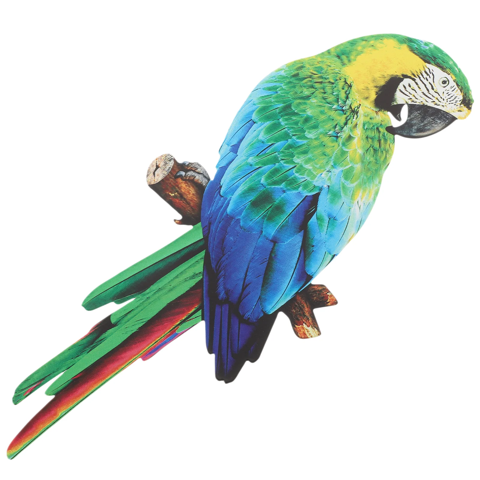 Parrot Tropical Wall Metalbird Usa AMERICAN DECOR Wall Hanging Bird Metal Bird Wall Decor House Ornaments 
Parrot Tropical Wall Metalbird Usa AMERICAN DECOR Wall Hanging Bird Metal Bird Wall Decor House Ornaments