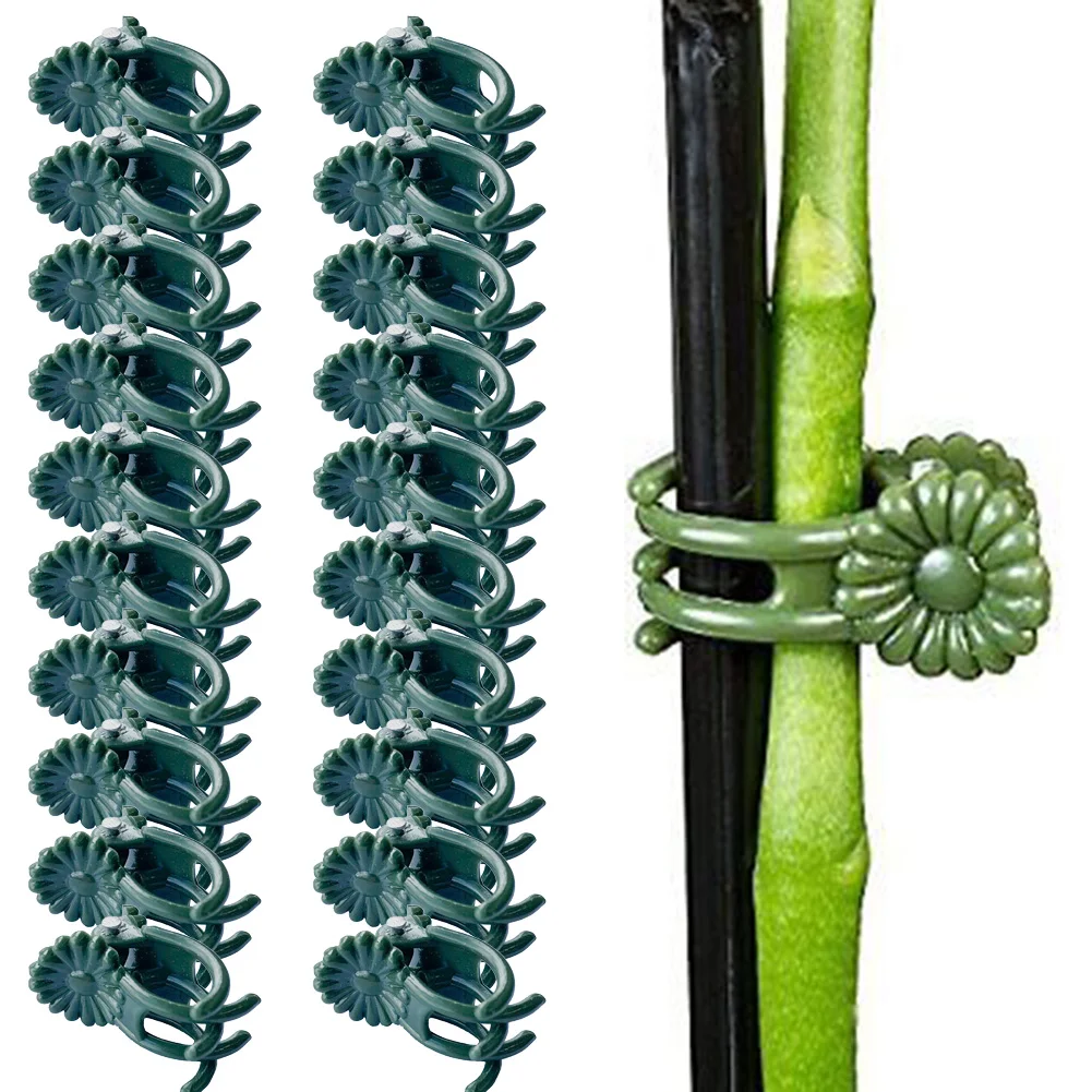 20Pcs Orchid Stem Clip Plant Support Vine Plastic Clips Flower Grow Upright Branch Clamping Garden Plant Support Clips Accessory
20Pcs Orchid Stem Clip Plant Support Vine Plastic Clips Flower Grow Upright Branch Clamping Garden Plant Support Clips Accessory