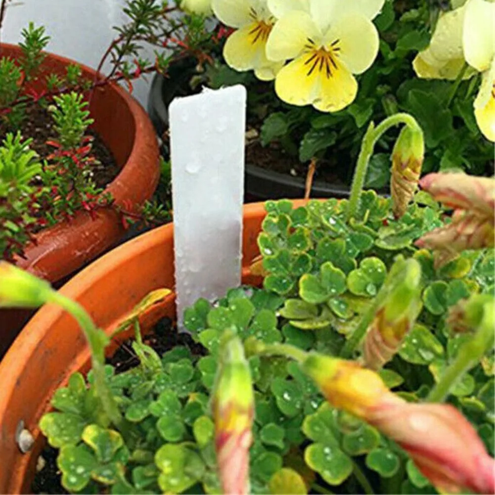 Durable Easily Cleaned High Quality Waterproof Garden Yard Plant Tags Plant Labels White Plastic 100 PCS 5*1cm
Durable Easily Cleaned High Quality Waterproof Garden Yard Plant Tags Plant Labels White Plastic 100 PCS 5*1cm