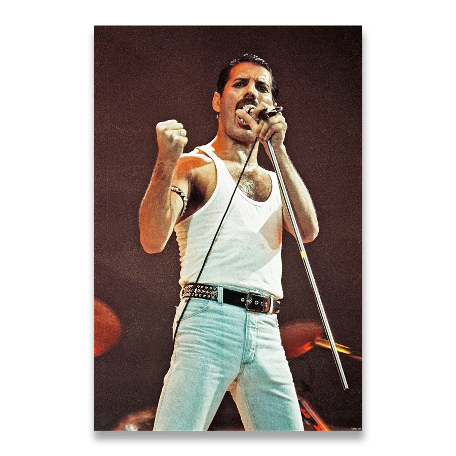 Плакат Freddie Mercury Bohemian Rock Music AliPaint
Плакат Freddie Mercury Bohemian Rock Music AliPaint