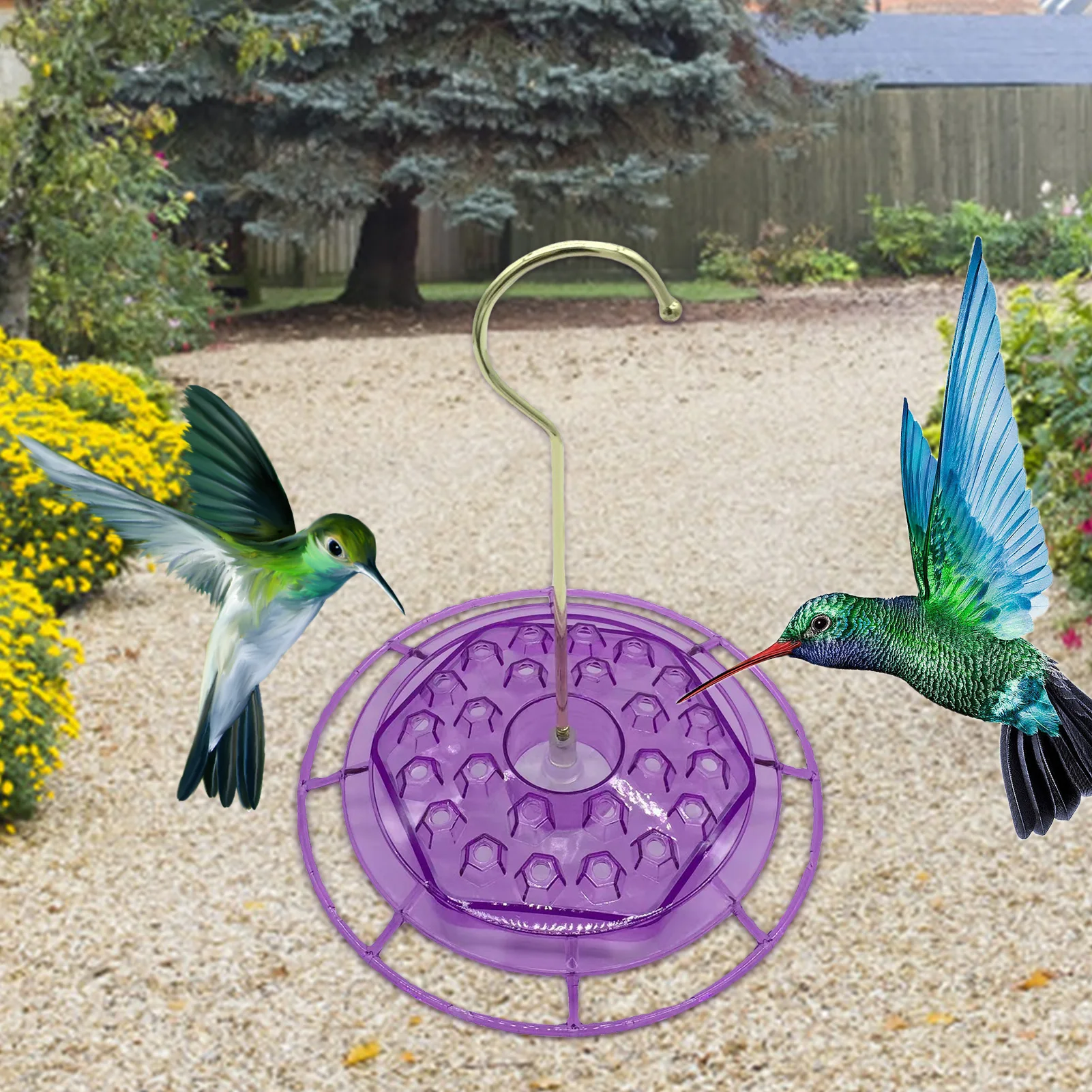 Mary Humming Bird Feeder with Ant Moat Easy Clean Hummer Bird Feeders with 24 Feeding Ports and Perches Hangings Humming Bird
Mary Humming Bird Feeder with Ant Moat Easy Clean Hummer Bird Feeders with 24 Feeding Ports and Perches Hangings Humming Bird