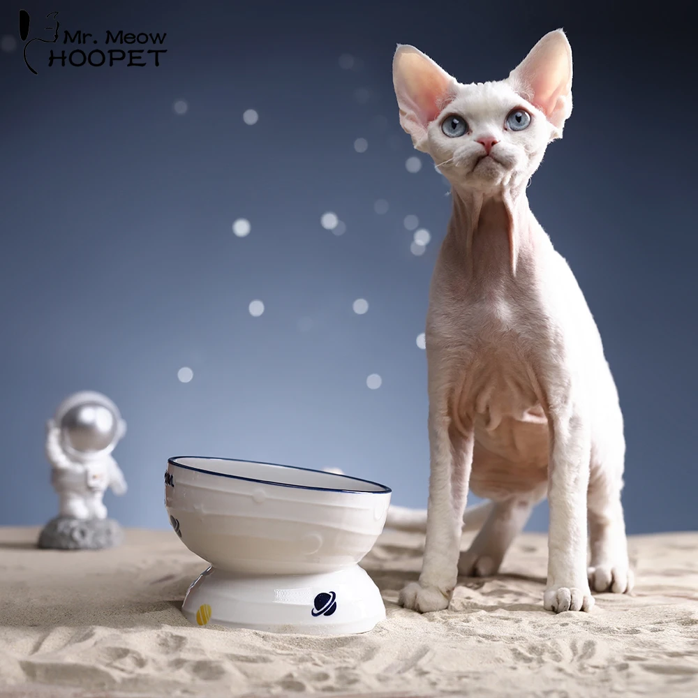 Cat Bowl Ceramic Cat Food Bowl Pet Oblique Mouth High Foot Rice Bowl Water Bowl Protection Cervical Vertebra Food BowlTo Prevent
Cat Bowl Ceramic Cat Food Bowl Pet Oblique Mouth High Foot Rice Bowl Water Bowl Protection Cervical Vertebra Food BowlTo Prevent