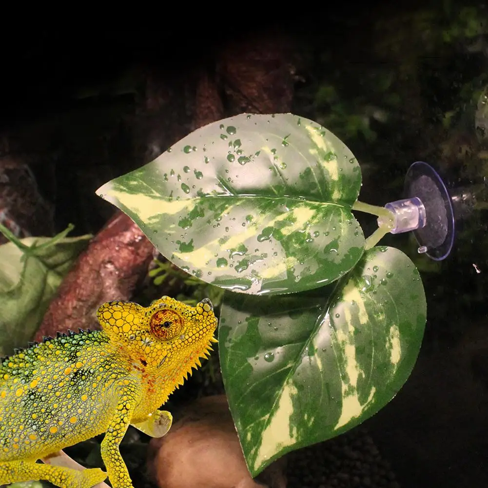 1pcs Landscaping Simulation Plant Leaf With Suction Cup Landscaping Plant For Fish Tank 
1pcs Landscaping Simulation Plant Leaf With Suction Cup Landscaping Plant For Fish Tank