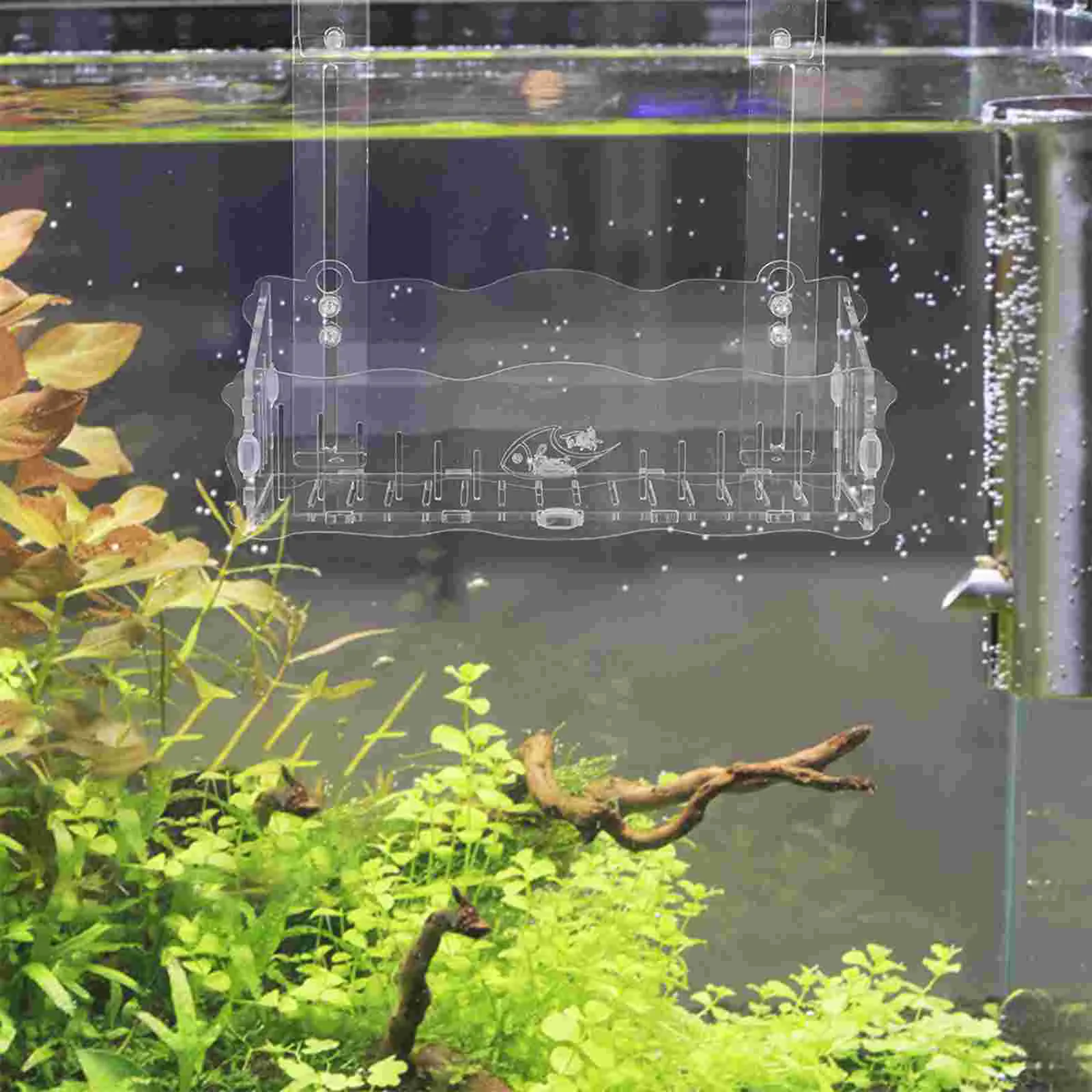 Acrylic Hollow Aquarium Stand Fish Tank Holder Suction Cup Planter Aquarium Water Planter Aquarium Planter
Acrylic Hollow Aquarium Stand Fish Tank Holder Suction Cup Planter Aquarium Water Planter Aquarium Planter