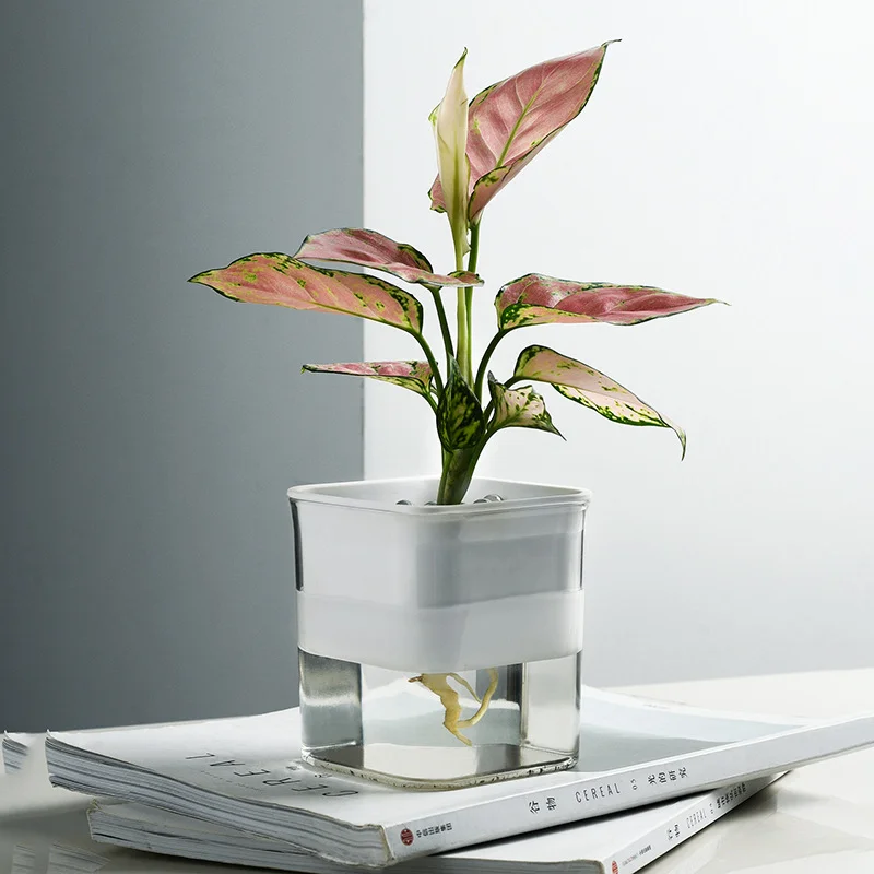 2 Layer Self Watering Planter Home Garden Office Plant Flower Pot With Water Container Automatic Watering Hydroponic Plant Pot
2 Layer Self Watering Planter Home Garden Office Plant Flower Pot With Water Container Automatic Watering Hydroponic Plant Pot