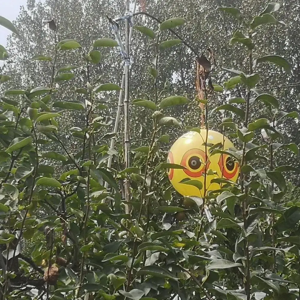 Inflatable Bird Repelling Ball Bird Repelling Ball Hanging Fake Reflective Inflatable With Reflective Blindfold Eyeball Owl A8Y1
Inflatable Bird Repelling Ball Bird Repelling Ball Hanging Fake Reflective Inflatable With Reflective Blindfold Eyeball Owl A8Y1