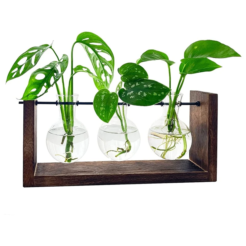 Plant Terrarium, Tabletop Propagation Station For Hydroponic Plants With Wooden Stand For Gifts Home Decoration
Plant Terrarium, Tabletop Propagation Station For Hydroponic Plants With Wooden Stand For Gifts Home Decoration