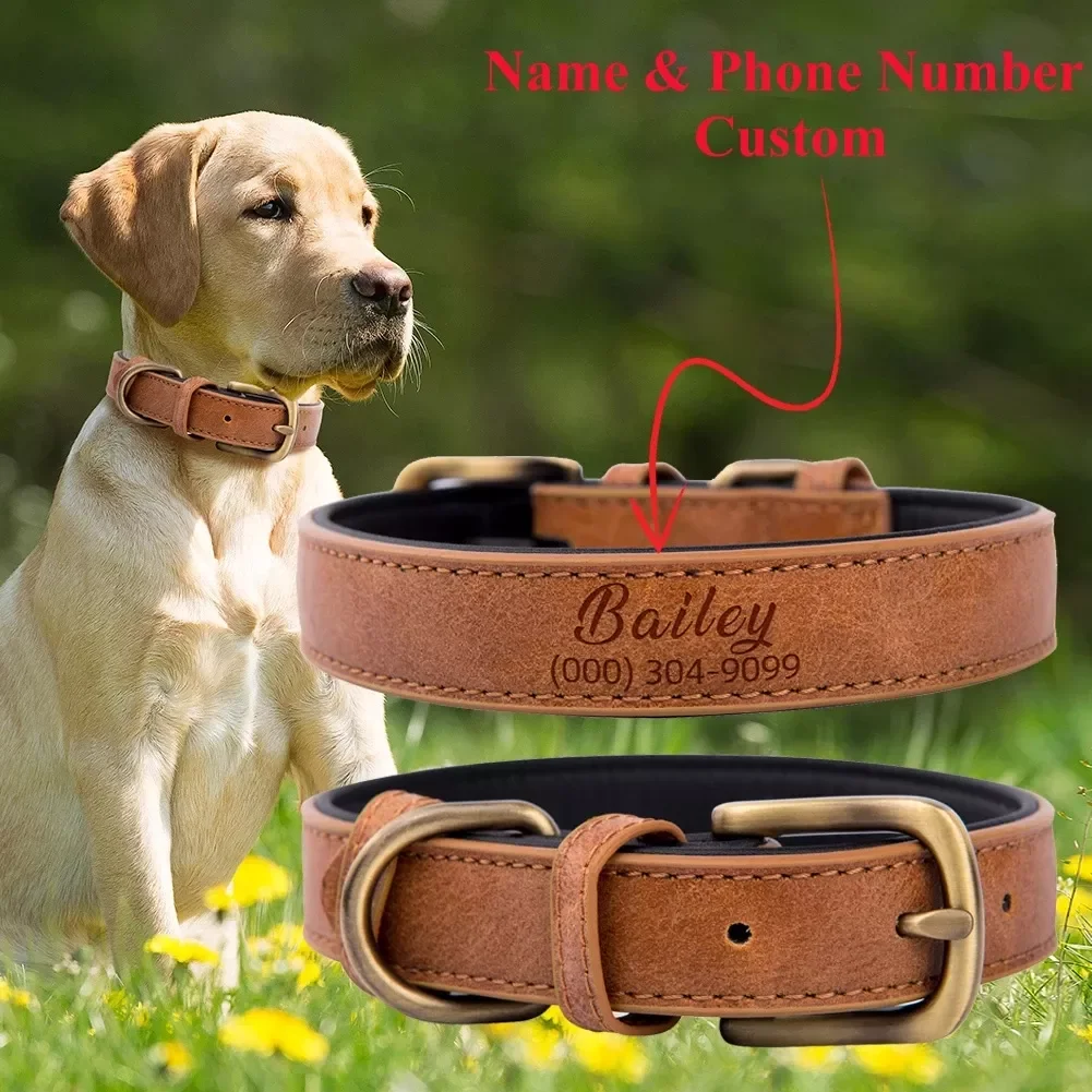 2022JMT Dog Collar Personalized Pet Leather Collar Custom Collars for Small Medium Large Dogs Collar with Engraved ID Dropshippi
2022JMT Dog Collar Personalized Pet Leather Collar Custom Collars for Small Medium Large Dogs Collar with Engraved ID Dropshippi