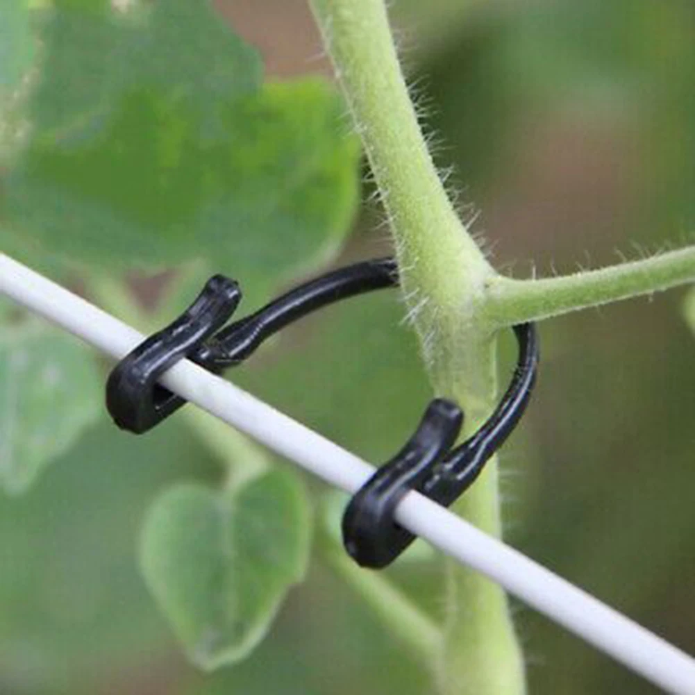 Plant Suppot Trellis Garden Clip Garden Hook Tomato Clip Trellis 50PCS Flower Garden Supply Trellis For Garden Plant Twine
Plant Suppot Trellis Garden Clip Garden Hook Tomato Clip Trellis 50PCS Flower Garden Supply Trellis For Garden Plant Twine