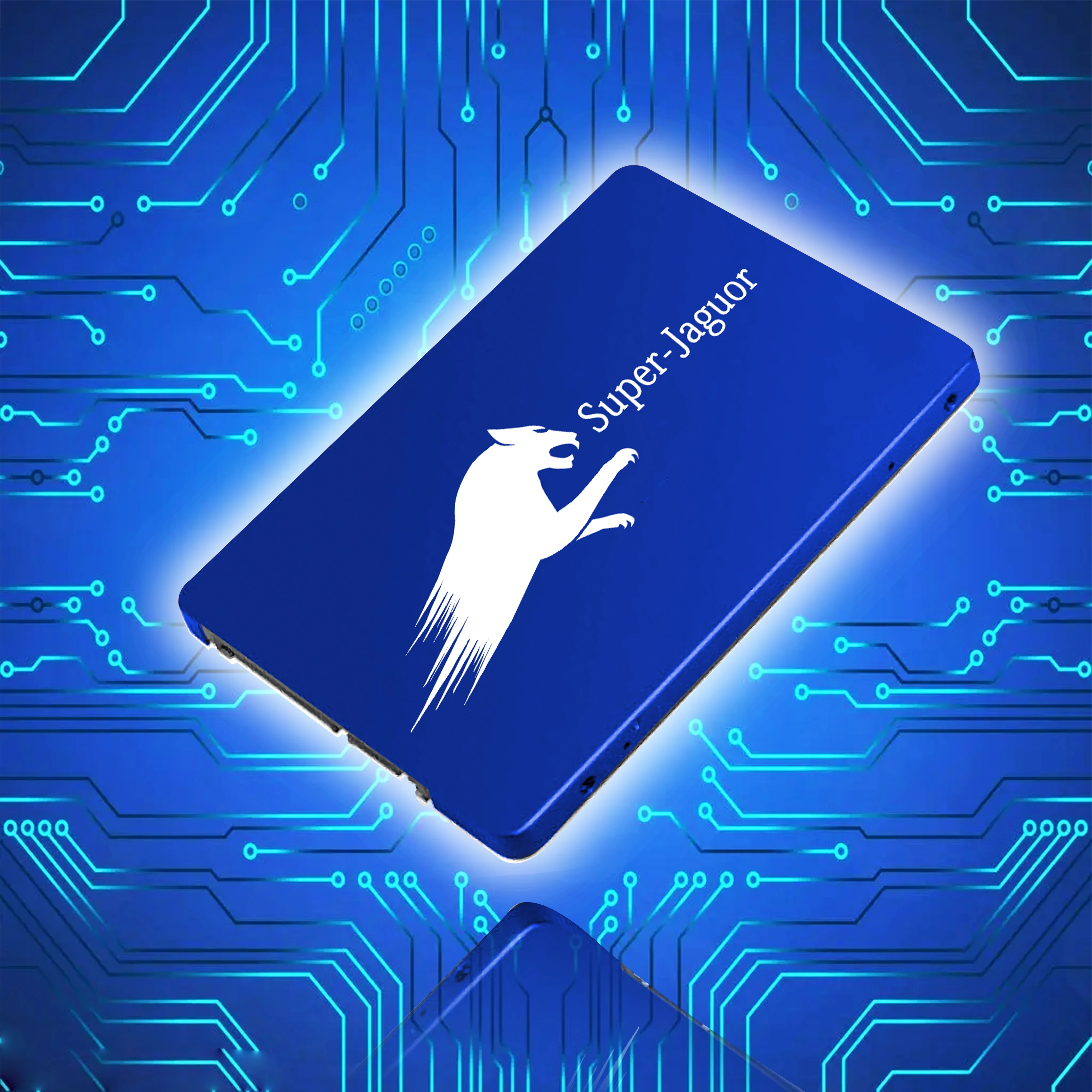 Hot Sales Solid State Drive Interface Network Storage Solid State Drive Hard Disk 1TB 500G Computer Storage Capacity Expander
Hot Sales Solid State Drive Interface Network Storage Solid State Drive Hard Disk 1TB 500G Computer Storage Capacity Expander