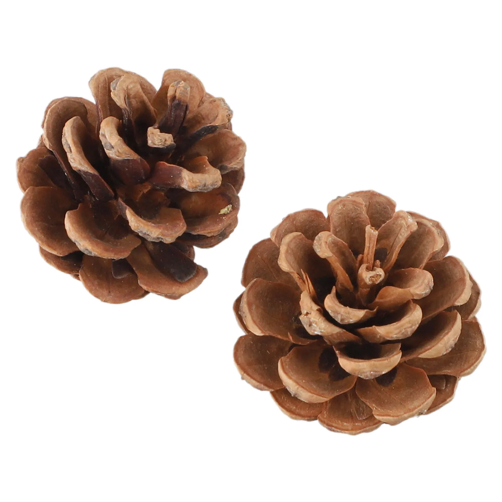 50/70/86Pcs Mini Artificial Pumpkin Fake Simulation Vegetabl Happy Halloween Decoration For Home Halloween Props DIY Crafts
50/70/86Pcs Mini Artificial Pumpkin Fake Simulation Vegetabl Happy Halloween Decoration For Home Halloween Props DIY Crafts