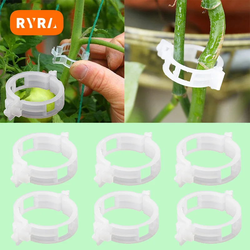 Зажим для фиксации растений 100/50 шт., пластиковые зажимы для теплиц, цветов, томатов, ветвей, зажимы для овощей, Садовые принадлежности
Зажим для фиксации растений 100/50 шт., пластиковые зажимы для теплиц, цветов, томатов, ветвей, зажимы для овощей, Садовые принадлежности