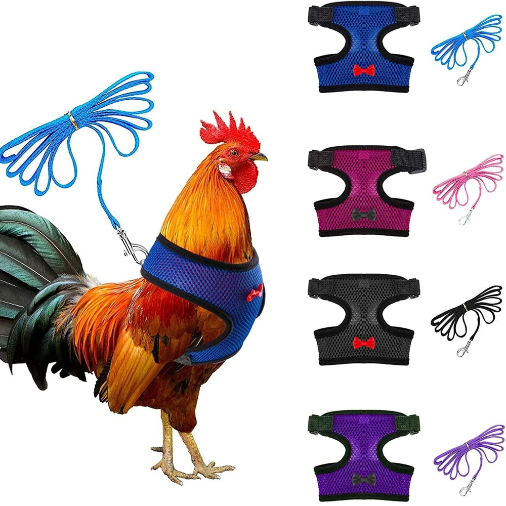 Cute Pet Adjustable Harness Leash for Chicken Puppy Comfortable Breathable Pet Vest for Small Dogs Duck Goose Accessories
Cute Pet Adjustable Harness Leash for Chicken Puppy Comfortable Breathable Pet Vest for Small Dogs Duck Goose Accessories