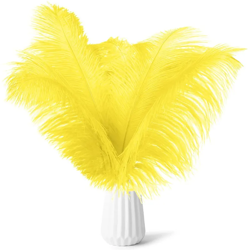 10-200pcs Yellow Ostrich Feathers For Needlework Jewelry DIY Wedding Plumes Centerpiece Table Vase Decor Handicrafts Accessories
10-200pcs Yellow Ostrich Feathers For Needlework Jewelry DIY Wedding Plumes Centerpiece Table Vase Decor Handicrafts Accessories