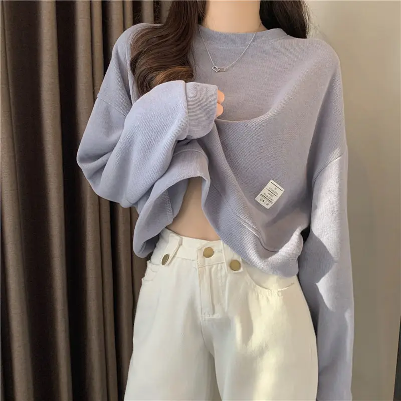 Spring and Autumn New Fashion Ins Wind Loose Thin Round Neck Long Sleeve Short Top Hoodie Women
Spring and Autumn New Fashion Ins Wind Loose Thin Round Neck Long Sleeve Short Top Hoodie Women