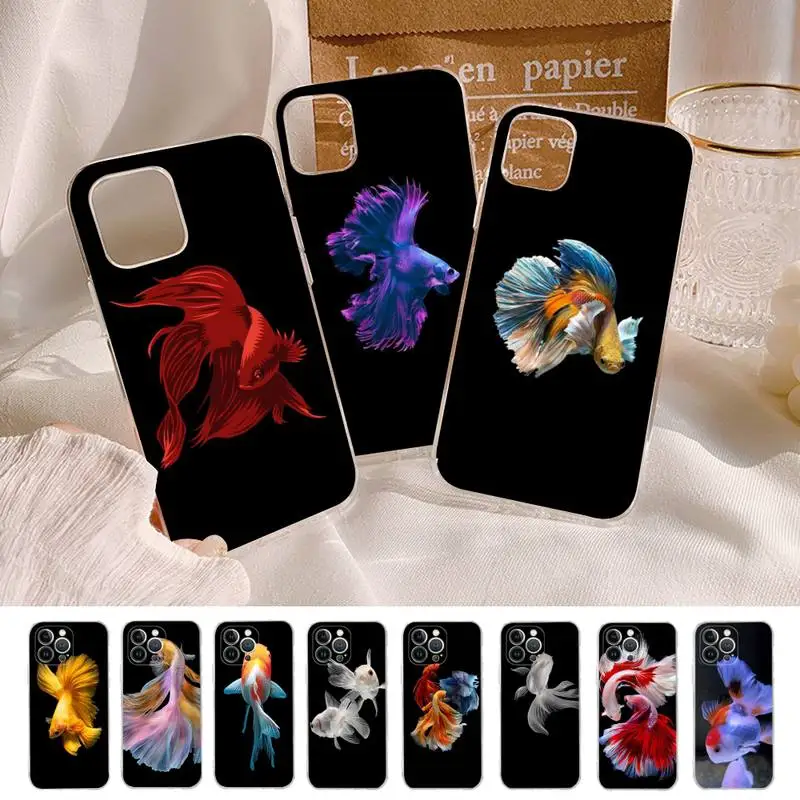 Small goldfish Phone Case Silicone Soft for iphone 14 13 12 11 Pro Mini XS MAX 8 7 6 Plus X XS XR Cover
Small goldfish Phone Case Silicone Soft for iphone 14 13 12 11 Pro Mini XS MAX 8 7 6 Plus X XS XR Cover