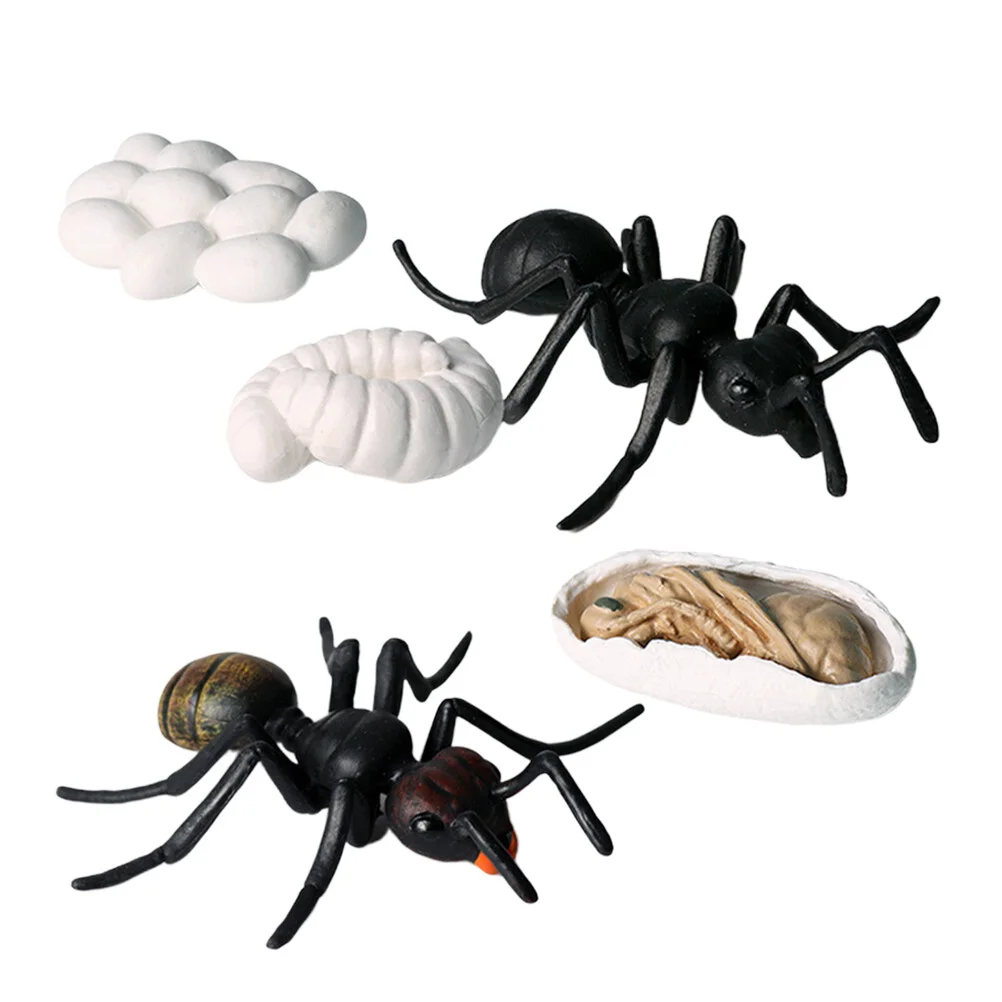 

5 шт., муравьиная модель