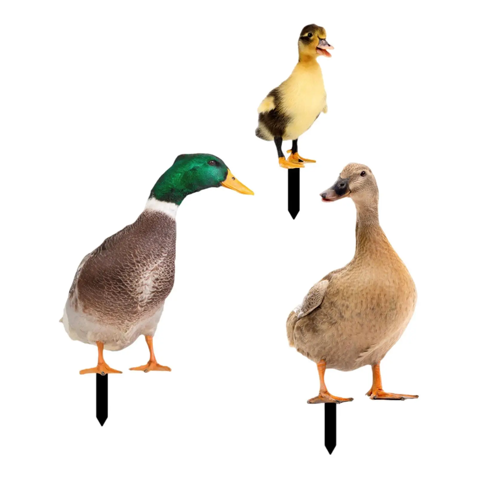 3Pcs Duck Animal Statue Stakes Acrylic Decoration for Porch Patio Yard Decor
3Pcs Duck Animal Statue Stakes Acrylic Decoration for Porch Patio Yard Decor