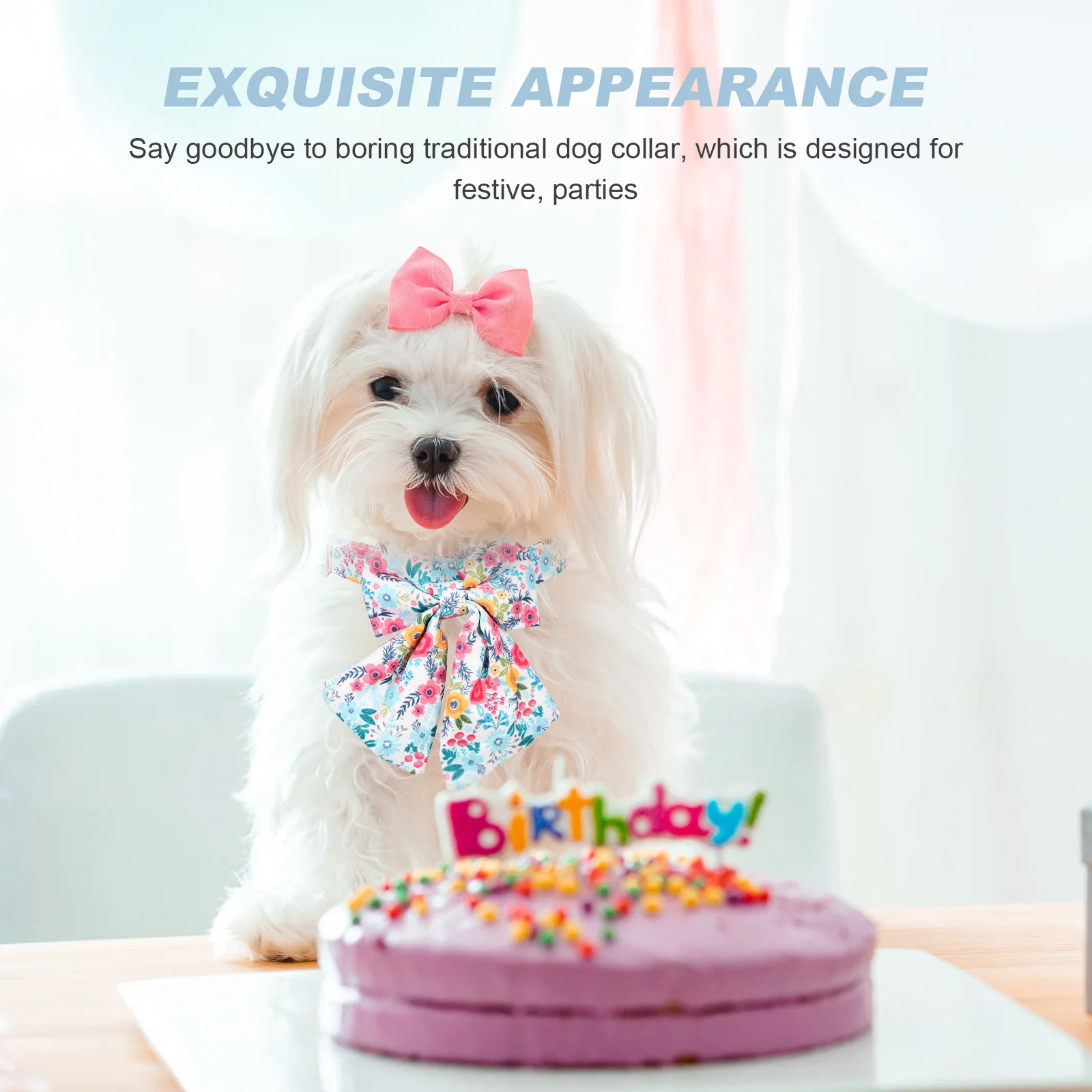 Dog Collar with Bowknot Flower Printing Cat Collar Exquisite Bowknot Pet Collar Pet Supply
Dog Collar with Bowknot Flower Printing Cat Collar Exquisite Bowknot Pet Collar Pet Supply