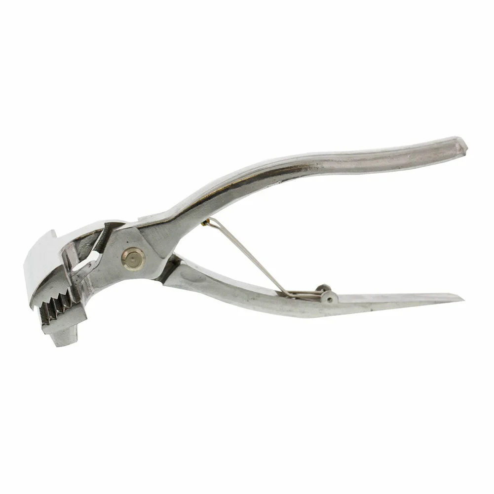 Oil Painting Multifunctional Handle Handheld Bars Clamp Canvas Plier Stretcher Artist Stretching Zinc Alloy Framing Tool
Oil Painting Multifunctional Handle Handheld Bars Clamp Canvas Plier Stretcher Artist Stretching Zinc Alloy Framing Tool