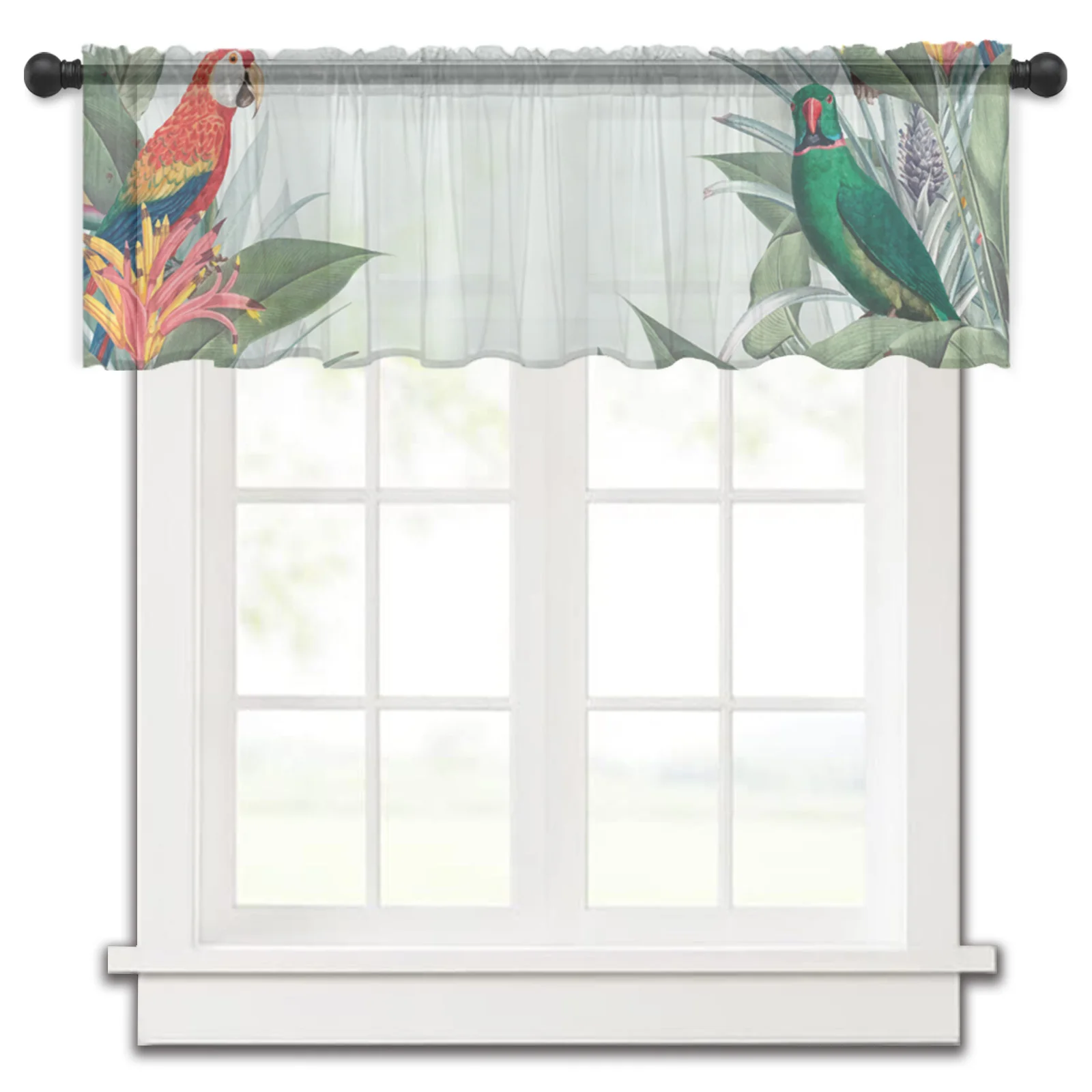 Tropical Plants Parrot Kitchen Small Window Curtain Tulle Sheer Short Curtain Bedroom Living Room Home Decor Voile Drapes
Tropical Plants Parrot Kitchen Small Window Curtain Tulle Sheer Short Curtain Bedroom Living Room Home Decor Voile Drapes