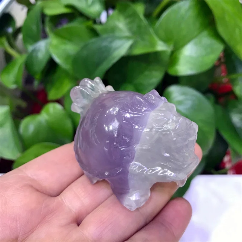 1PCS Natural Fluorite Crystal Dragon Tortoise Carved Fluorite Animals Quartz Figurine Healing Crystals Home Decor Reiki Gift
1PCS Natural Fluorite Crystal Dragon Tortoise Carved Fluorite Animals Quartz Figurine Healing Crystals Home Decor Reiki Gift