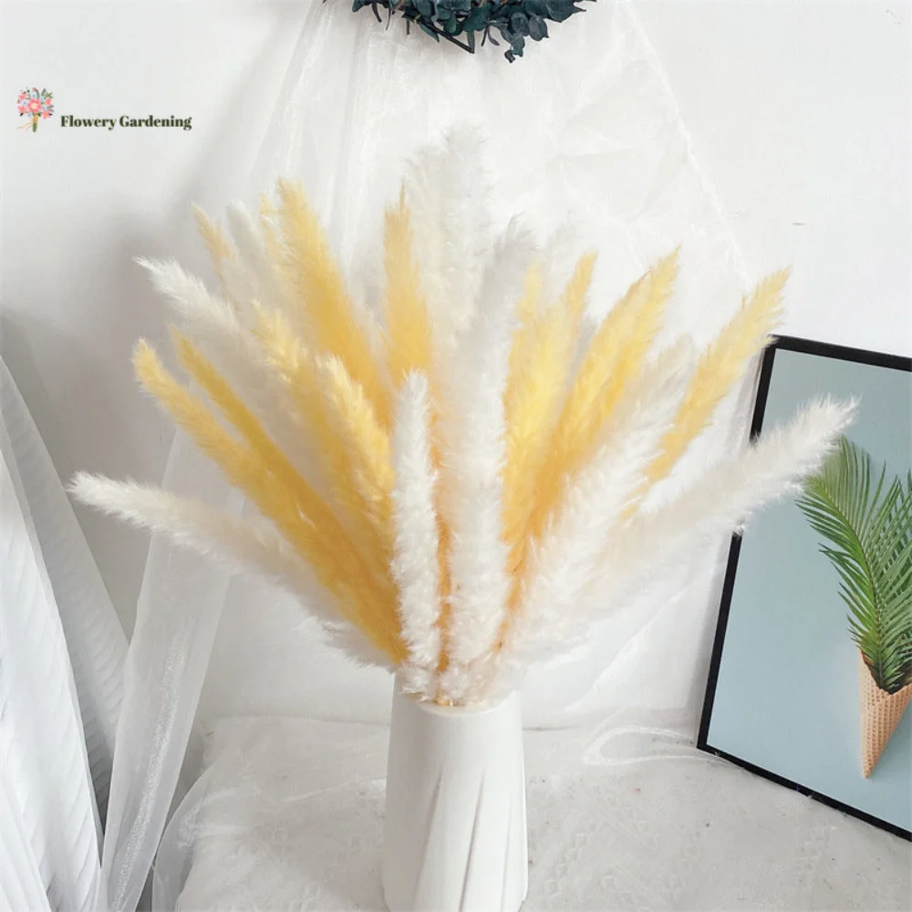 15PCS Natural Pampas Grass Dried Flowers Bouquet Home Table Bohemian Decor Preserved Artificial Flower Wedding Party Decoration
15PCS Natural Pampas Grass Dried Flowers Bouquet Home Table Bohemian Decor Preserved Artificial Flower Wedding Party Decoration