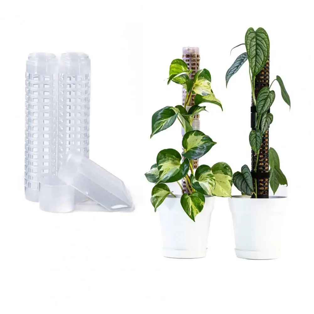 1PC Plant Climbing Column Climbing Plant Pole Sphagnum Moss Stick Column Stand Water Moss Column Support Plant Flowers Support
1PC Plant Climbing Column Climbing Plant Pole Sphagnum Moss Stick Column Stand Water Moss Column Support Plant Flowers Support