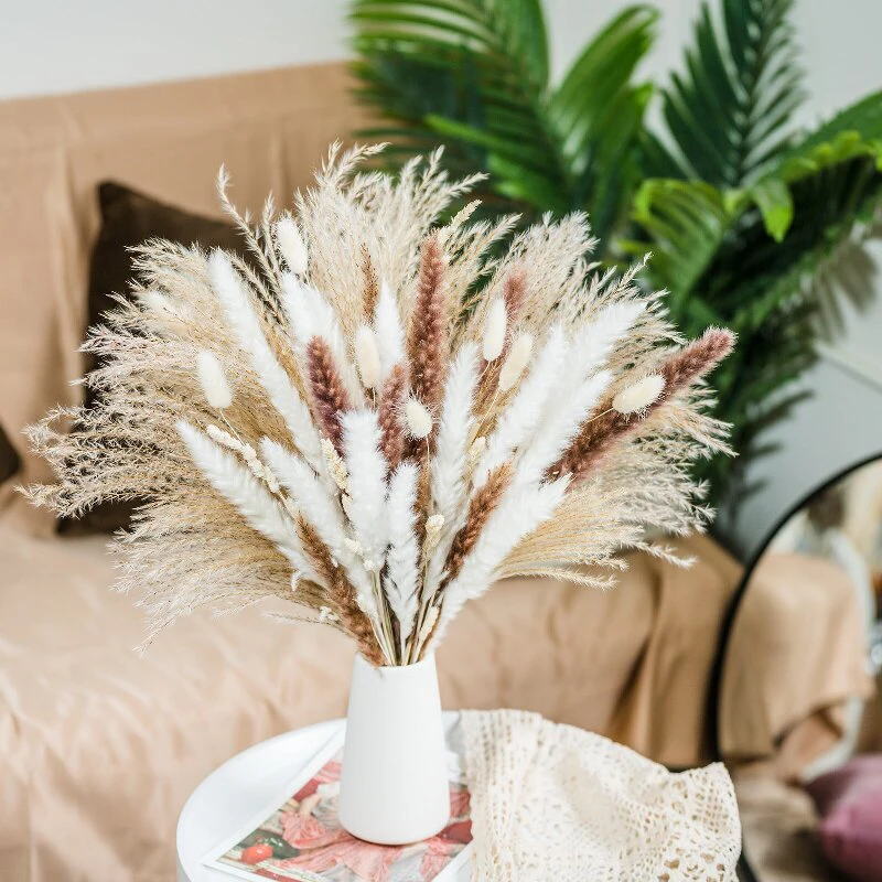 30pcs Dried Flowers Natural Pampas Grass Bouquet Fleur Sechee Naturelle Flores Artificial Flowers Mariage Decoration Home Decor
30pcs Dried Flowers Natural Pampas Grass Bouquet Fleur Sechee Naturelle Flores Artificial Flowers Mariage Decoration Home Decor