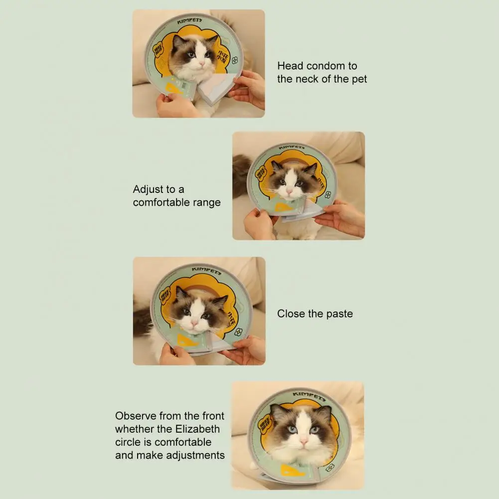 Pet Neck Cone Attractive PVC Fastener Tape Design Pet Accessories Cat Protective Cone Cat Recovery Collar
Pet Neck Cone Attractive PVC Fastener Tape Design Pet Accessories Cat Protective Cone Cat Recovery Collar
