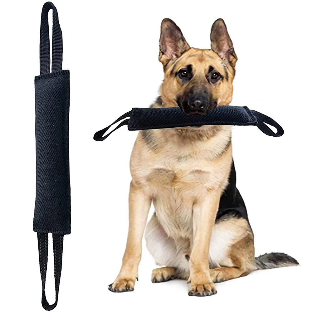 Bite From Interactive Large Pillow Tug Dog Durable, Dogs Puppy Toy Dog Toy Training Tough Jute To Equipment
Bite From Interactive Large Pillow Tug Dog Durable, Dogs Puppy Toy Dog Toy Training Tough Jute To Equipment